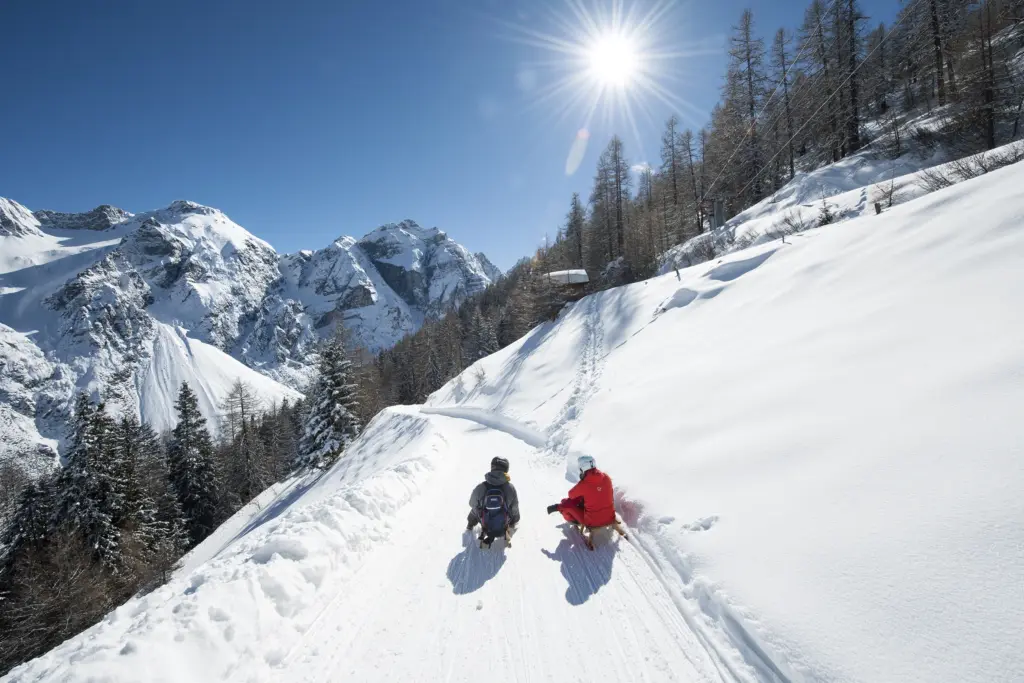 Rodeln im Stubaital | Casa Habicht in Neustift rodeln